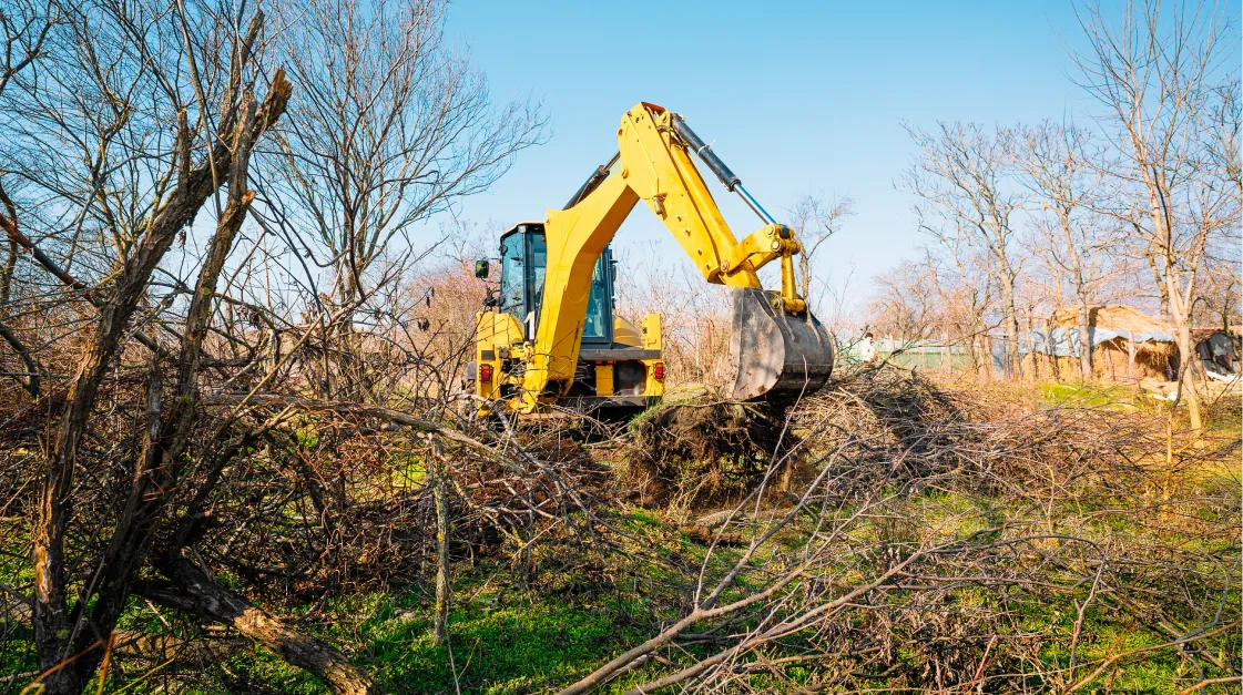 Service Land Clearing Services