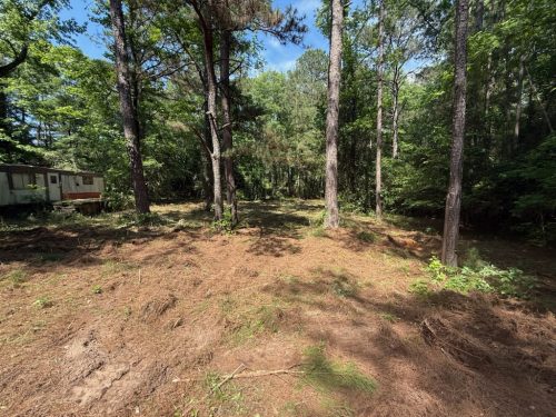 forestry mulching